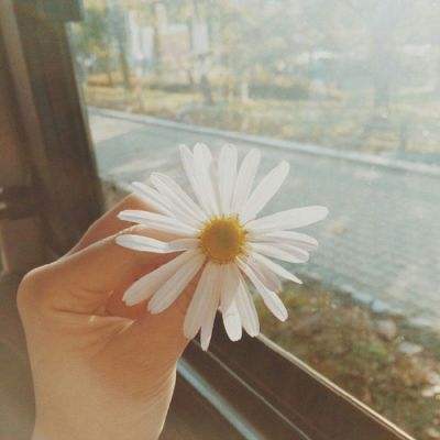 老皇冠登录入口welcome